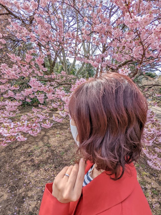桜とカシスカラー🌸